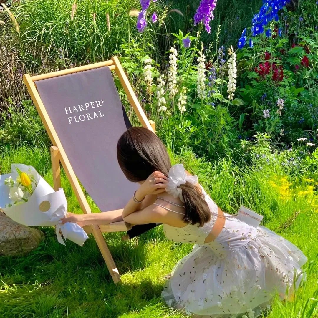 我携摄政王横扫天下